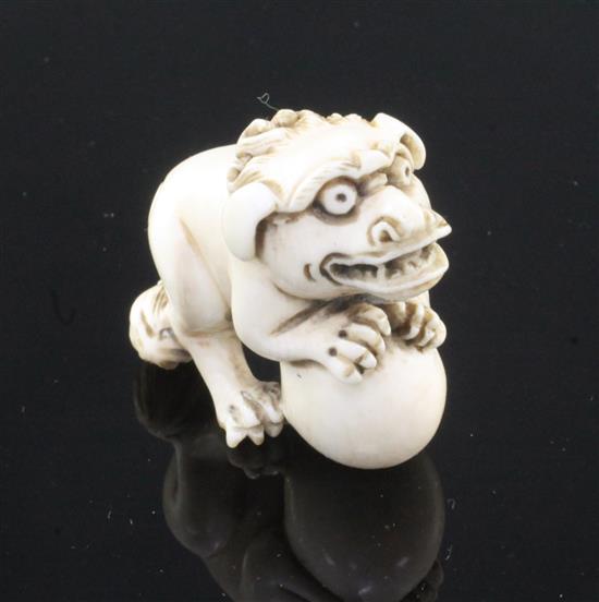 A Japanese ivory netsuke of a shi-shi, Edo period, 4cm